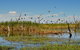 Gwydir Wetlands Moree - thumb 1