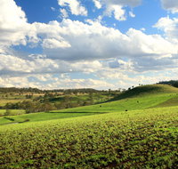 Hodgson Vale - Palm Beach Accommodation