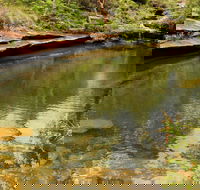 Hominy Creek Walking Track - Palm Beach Accommodation
