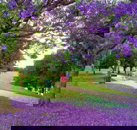 Howe Park - Palm Beach Accommodation