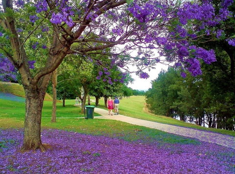 Howe Park - Palm Beach Accommodation 0