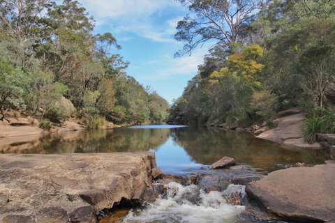 Ingleburn Reserve - Palm Beach Accommodation 0