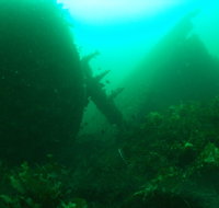 Investigator Strait Shipwreck Trail - Palm Beach Accommodation