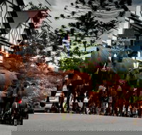 Jamberoo - Palm Beach Accommodation