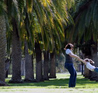 Jellicoe Park - Palm Beach Accommodation