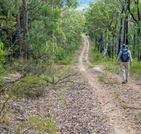 Kangaroo River Walking Track - Palm Beach Accommodation