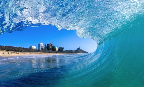 Kawana - Palm Beach Accommodation 0