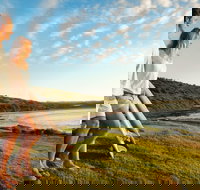 Killalea Reserve - Palm Beach Accommodation