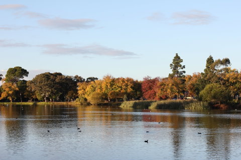 Lake Weeroona - Palm Beach Accommodation 0