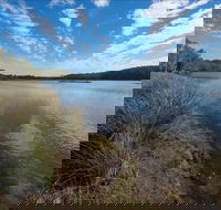 Lake Innes Nature Reserve - Palm Beach Accommodation