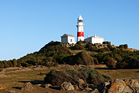 Low Head Foghorn - Palm Beach Accommodation 1