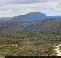 Mount Hay - Palm Beach Accommodation
