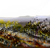 Mount View - Palm Beach Accommodation