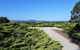 Mt Lindsay Rotary Park - thumb 0