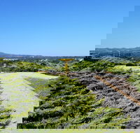 Mt Lindsay Rotary Park - Palm Beach Accommodation