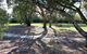Mt Lindsay Rotary Park - thumb 1