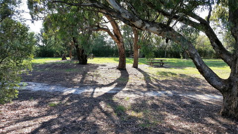Mt Lindsay Rotary Park - Palm Beach Accommodation 1