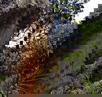 Mystery Face Walking Track - Palm Beach Accommodation