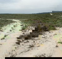 Ngarkat Conservation Park - Palm Beach Accommodation