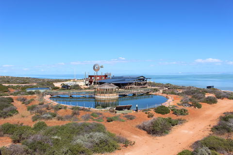 Ocean Park Aquarium - Palm Beach Accommodation 1