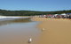 Ocean Beach Umina - thumb 0