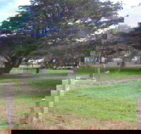 Old Cemetery Kingscote - Palm Beach Accommodation