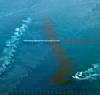 Port Noarlunga Reef Sanctuary Zone - Encounter Marine Park - Palm Beach Accommodation