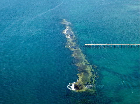 Port Noarlunga Reef Sanctuary Zone - Encounter Marine Park - Palm Beach Accommodation 0