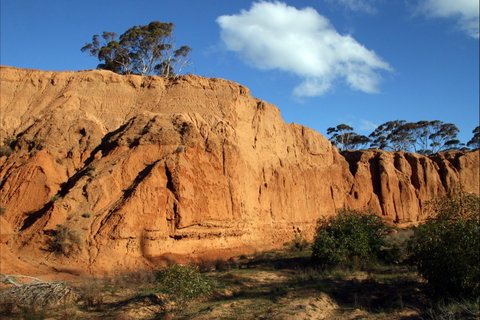 Red Banks Conservation Park - Palm Beach Accommodation 0