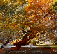 Richmond - Palm Beach Accommodation