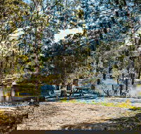 River Walk Boonoo Boonoo National Park - Palm Beach Accommodation