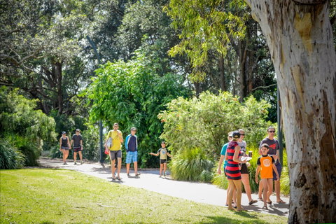 Round The Bay Walking Track: Huskisson To Vincentia - Palm Beach Accommodation 1