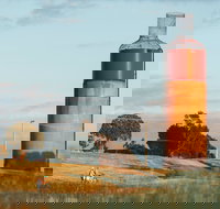 Rutherglen Wine Bottle - Palm Beach Accommodation