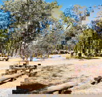 Salvator Rosa Carnarvon National Park - Palm Beach Accommodation