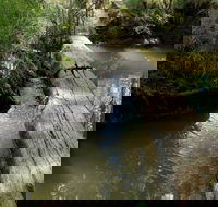 Second Ponds Creek Walk - Palm Beach Accommodation