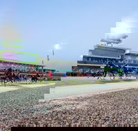 Tabcorp Park - Palm Beach Accommodation