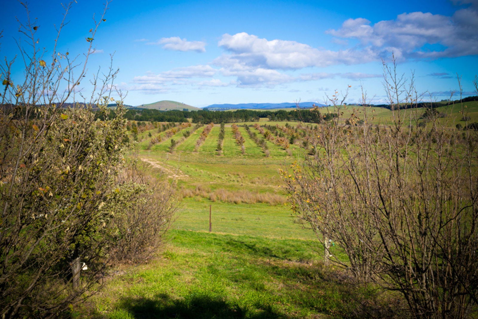 Tarago NSW Palm Beach Accommodation