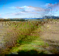 Tarago Truffles - Palm Beach Accommodation