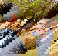 Taranna - Palm Beach Accommodation