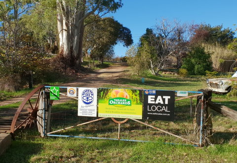 Taralee Orchards - Palm Beach Accommodation 0