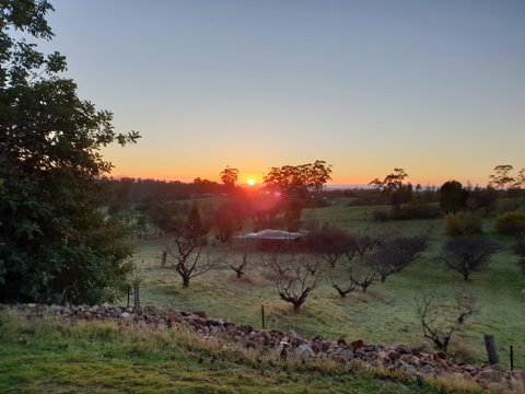 Taralee Orchards - Palm Beach Accommodation 1