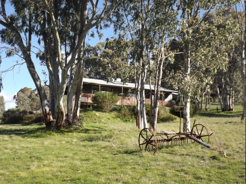 Taralee Orchards - Palm Beach Accommodation 2