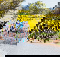 The Heron's Highway - Avon River Cycle Trail - Palm Beach Accommodation