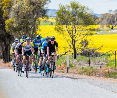 The West Side Story - Avon River Cycle Trail - Palm Beach Accommodation 1