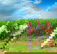 The Shed Gallery - Palm Beach Accommodation