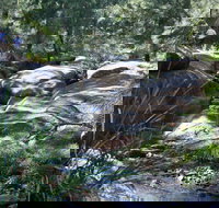 Towarri National Park - Palm Beach Accommodation