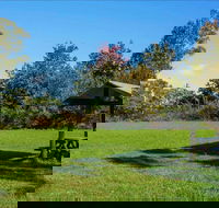 Tunks Hill picnic area - Palm Beach Accommodation