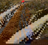 Warringine Park  Bittern Coastal Wetlands Boardwalk