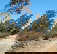 Werakata National Park - Palm Beach Accommodation