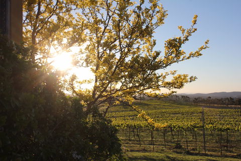 Wine Trail: Queanbeyan-Palerang - Palm Beach Accommodation 1